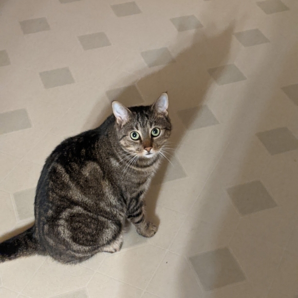 NOT FOR SALE - Picture 6 of 12